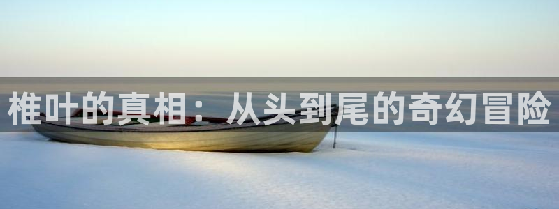 风车动漫dm530p：椎叶的真相：从头到尾的奇幻冒险