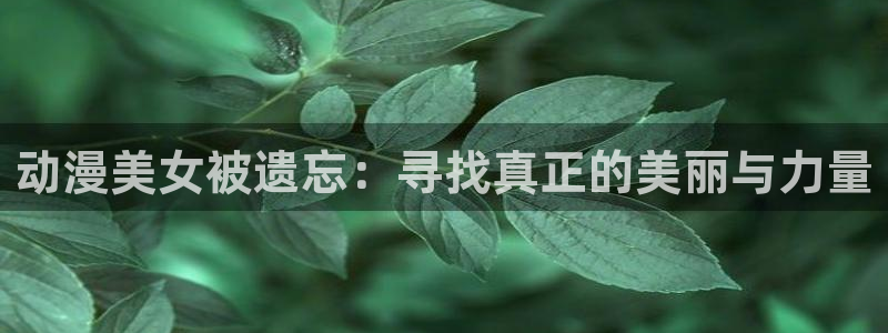 风车动漫下：动漫美女被遗忘：寻找真正的美丽与力量