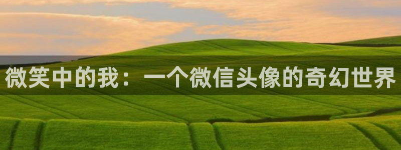 风车动漫5：微笑中的我：一个微信头像的奇幻世界