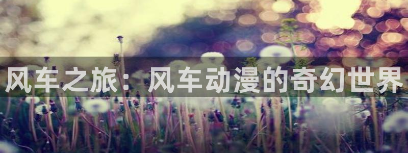 风车动漫网官网：风车之旅：风车动漫的奇幻世界