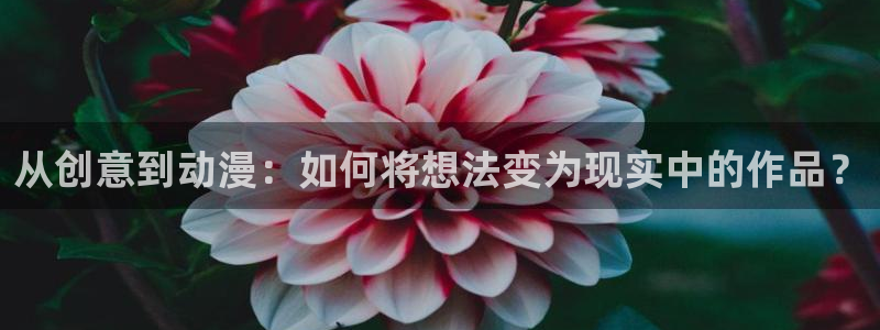 风车动漫(p)_：从创意到动漫：如何将想法变为现实中的作品？